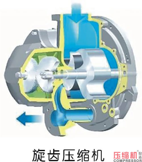 20250807830217.jpg 05.JPG