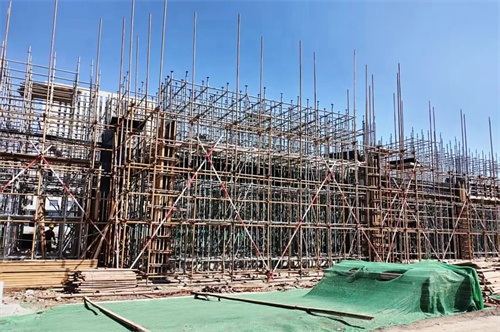 20251014163934.jpg 640.jpg