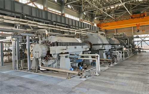 20251104314546.jpg 640.jpg